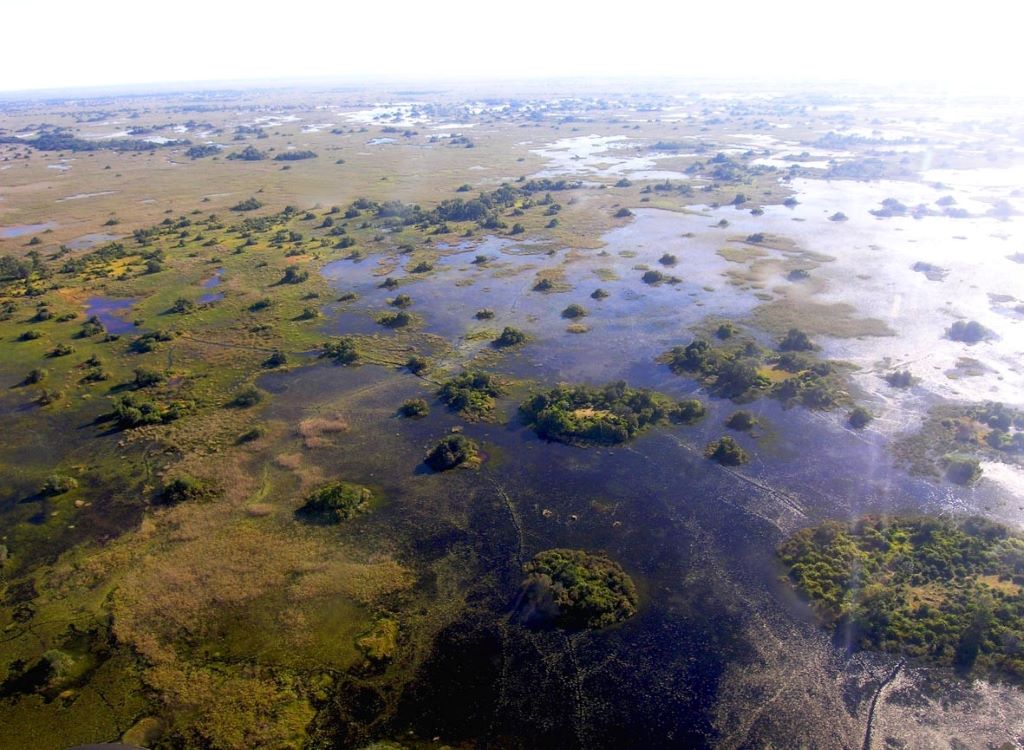 Okavango Delta