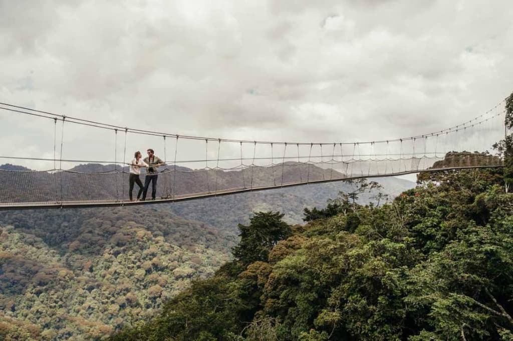 Nyungwe National Park