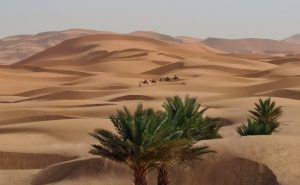 Read more about the article The Residence Douz by Cenizaro Opens its Doors