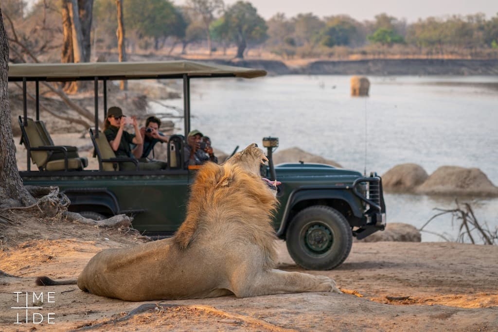 South Luangwa National Park