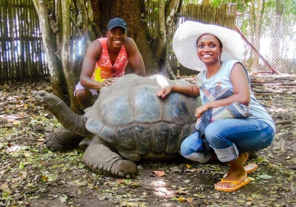 Pic-13-Some-of-the-giant-tortoise_edited